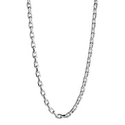 Alan Koch Sentinel Chain